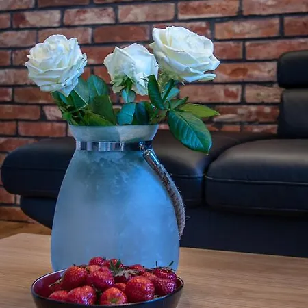 U Zuzanny 2 アパート *